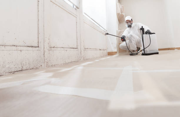 24/7 Emergency Mold Inspection experts in Portsmouth, VA
